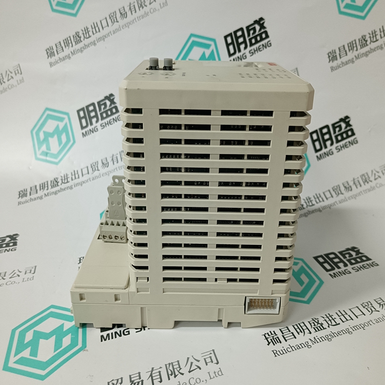 3BSE010796R1(图2)